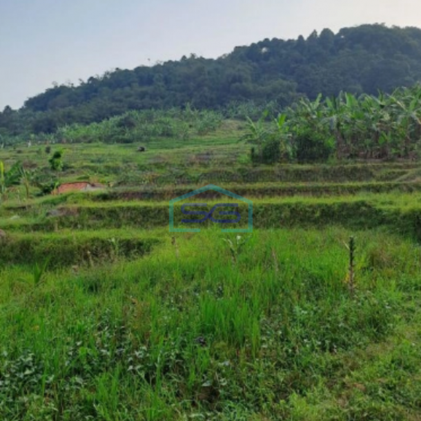 Dijual Tanah Sukajaya Jonggol Bogor Luas Tanah 170000m2-1