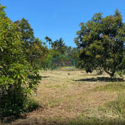 Dijual Tanah di Bojong Genteng Sukabumi Luas Tanah 75000m2