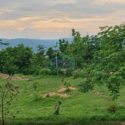 Dijual Tanah di Bojong Genteng Sukabumi Luas Tanah 75000m2