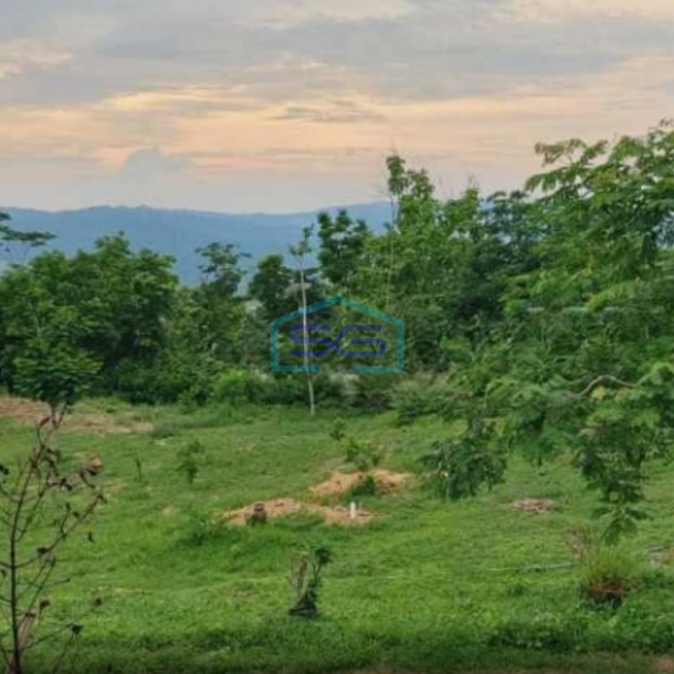 Dijual Tanah di Bojong Genteng Sukabumi Luas Tanah 75000m2-1