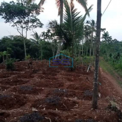 Dijual Tanah Di Sukatani Bogor Luas Tanah 200000m2 SHM