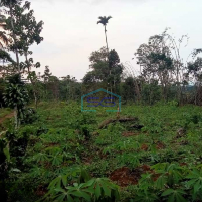 Dijual Tanah Di Sukatani Bogor Luas Tanah 200000m2 SHM