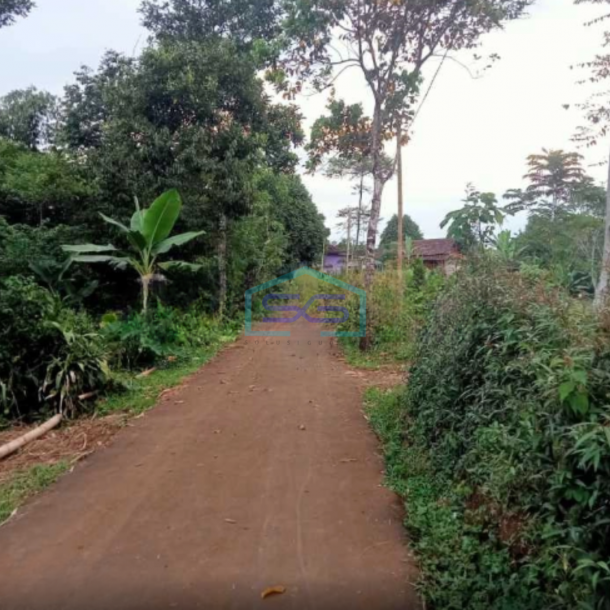 Dijual Tanah Di Sukatani Bogor Luas Tanah 200000m2 SHM-2