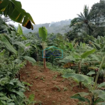 Dijual Tanah Di Gunung Geulis Sukaraja Bogor Luas Tanah 1900m2