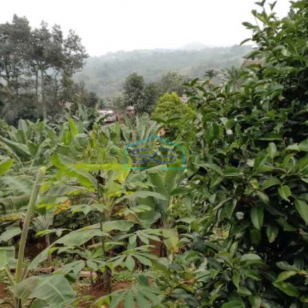 Dijual Tanah Di Gunung Geulis Sukaraja Bogor Luas Tanah 1900m2-2