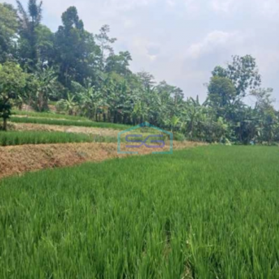 Dijual Tanah Di Jalan Raya Pancawati Caringin Bogor LT 1500m2