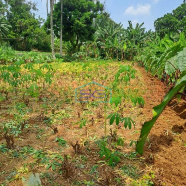 Dijual Tanah Di Kemang Bogor Luas Tanah 15000m2 Lokasi Bagus-1