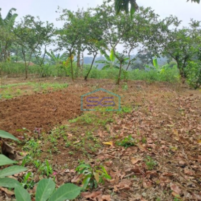 Dijual Tanah Lokasi di Caringin Bogor Luas Tanah 2500m2