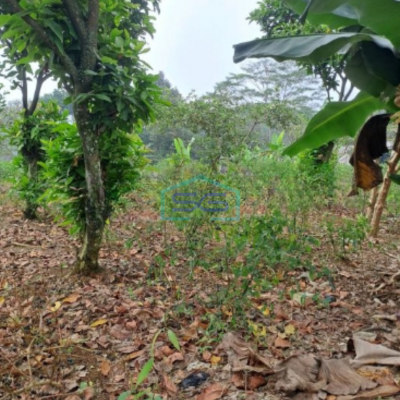 Dijual Tanah Lokasi di Caringin Bogor Luas Tanah 2500m2