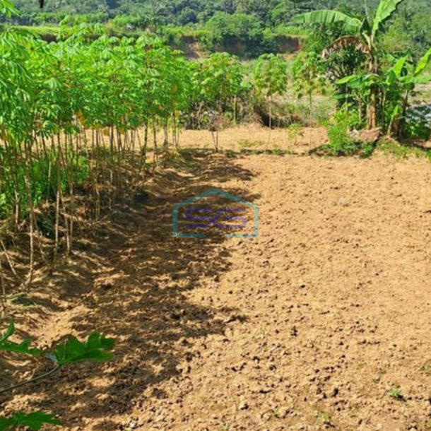 Dijual Tanah Letak Strategis Di Rumpin Bogor Luas Tanah 3500m2-2