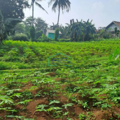 Dijual Tanah di Jalan Raya Rancabungur Bogor Luas Tanah 12000m2