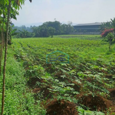 Dijual Tanah di Jalan Raya Rancabungur Bogor Luas Tanah 12000m2