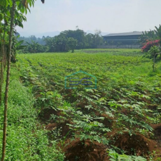 Dijual Tanah di Jalan Raya Rancabungur Bogor Luas Tanah 12000m2-2