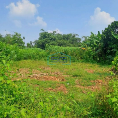 Dijual Tanah di Jalan Raya Rancabungur Bogor Luas Tanah 12000m2