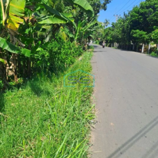 Dijual Tanah Di Rumpin Bogor Jawa Barat Luas 1400m2-2