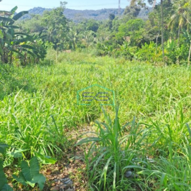 Dijual Tanah Di Rumpin Bogor Jawa Barat Luas 1400m2-1