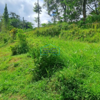 Dijual Tanah di Jalan Terobosan Cipayung Megamendung Bogor LT 120000m2