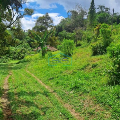 Dijual Tanah di Jalan Terobosan Cipayung Megamendung Bogor LT 120000m2