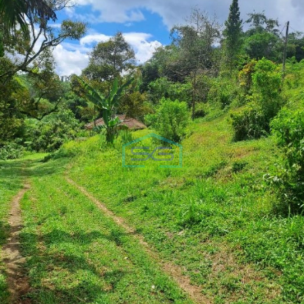 Dijual Tanah di Jalan Terobosan Cipayung Megamendung Bogor LT 120000m2-1