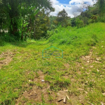 Dijual Tanah di Jalan Terobosan Cipayung Megamendung Bogor LT 120000m2