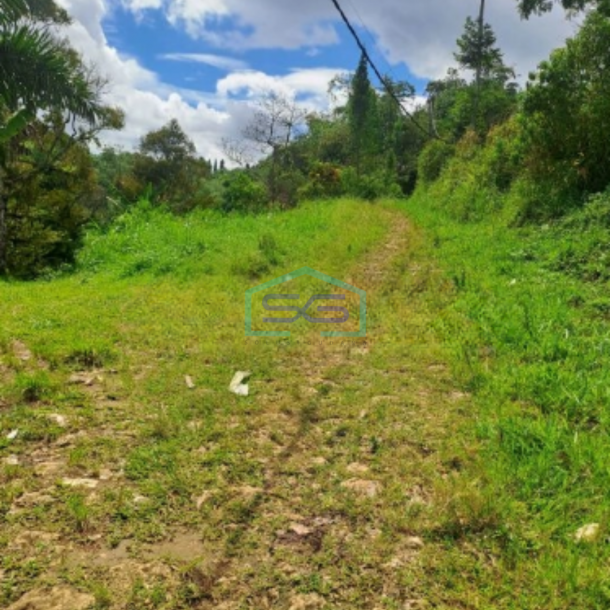 Dijual Tanah di Jalan Terobosan Cipayung Megamendung Bogor LT 120000m2-2