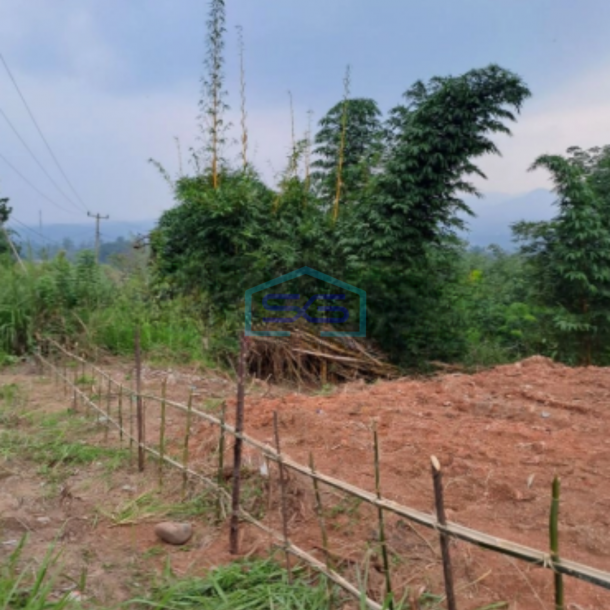 Dijual Tanah Desa Sadeng Lewisadeng Bogor Luas Tanah 20000m2-1