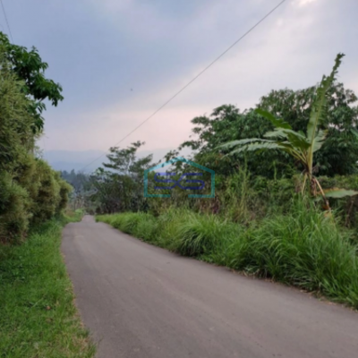 Dijual Tanah Desa Sadeng Lewisadeng Bogor Luas Tanah 20000m2