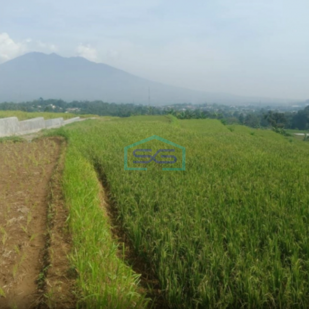 Dijual Tanah Bagus Datar di Tengah Pancawati Caringin Bogor Jawa Barat  LT 1500m2-3