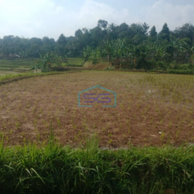 Dijual Tanah Bagus Datar di Tengah Pancawati Caringin Bogor Jawa Barat  LT 1500m2