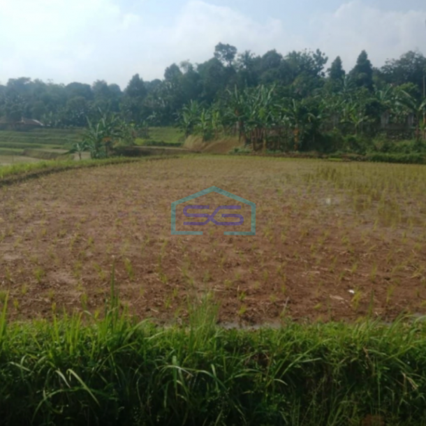 Dijual Tanah Bagus Datar di Tengah Pancawati Caringin Bogor Jawa Barat  LT 1500m2-1