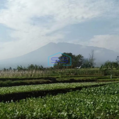 Dijual Tanah di Desa Banjarwangi Ciawi Bogor Jawa Barat Lokasi Tanah Bagus Datar LT 17000m2