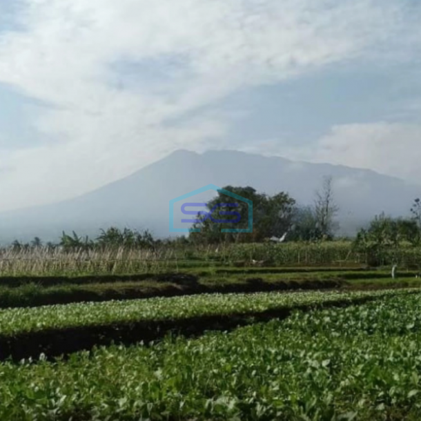 Dijual Tanah di Desa Banjarwangi Ciawi Bogor Jawa Barat Lokasi Tanah Bagus Datar LT 17000m2-2