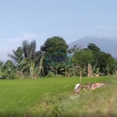 Dijual Tanah di Desa Banjarwangi Ciawi Bogor Jawa Barat Lokasi Tanah Bagus Datar LT 17000m2