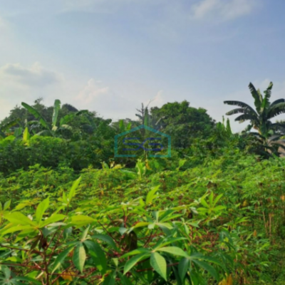 Dijual Tanah di Desa Sentul Kawasan Industri Babakan Madang Bogor LT 1500m2