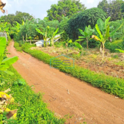 Dijual Tanah di Desa Sentul Kawasan Industri Babakan Madang Bogor LT 1500m2