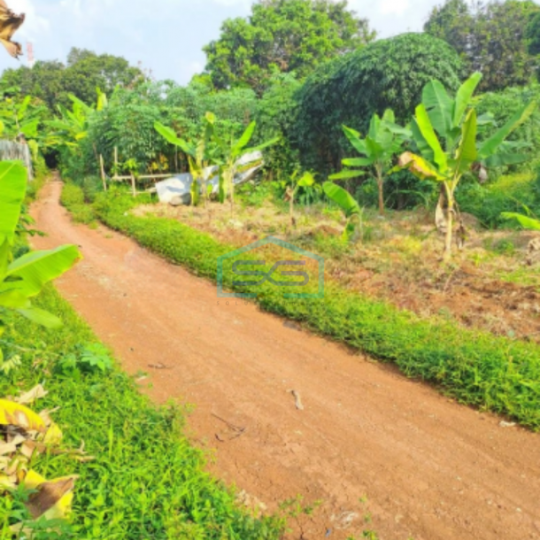 Dijual Tanah di Desa Sentul Kawasan Industri Babakan Madang Bogor LT 1500m2-2