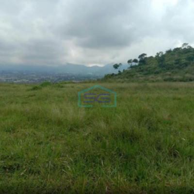Dijual Tanah Bagus di Cipanas Cianjur Luas Tanah 50000m2
