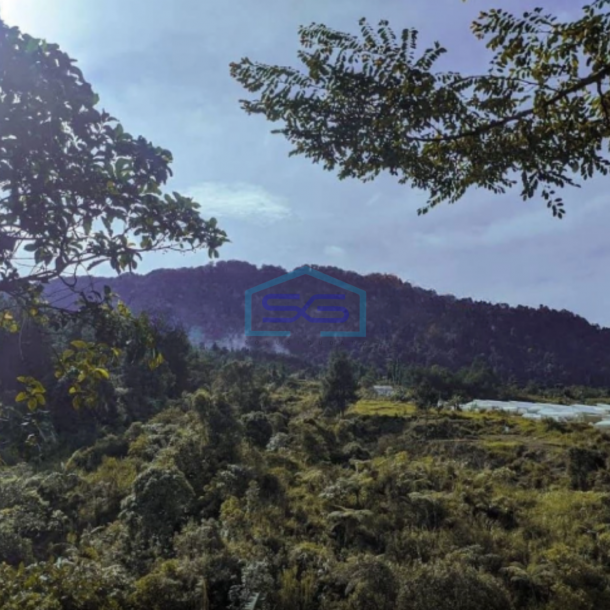 Dijual Tanah di Desa Megamendung Bogor Luas Tanah 100.000m2-2