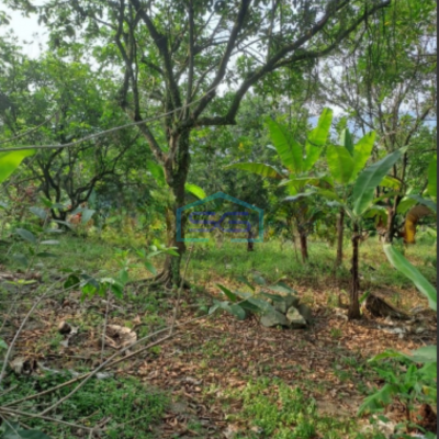 Dijual Tanah di Desa Pabuaran Perbatasan Citeureup Sukamakmur Bogor LT 50000m2