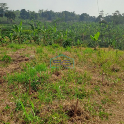 Dijual Tanah di Desa Cibadak Sukamakmur Bogor Jawa Barat LT 3000m2