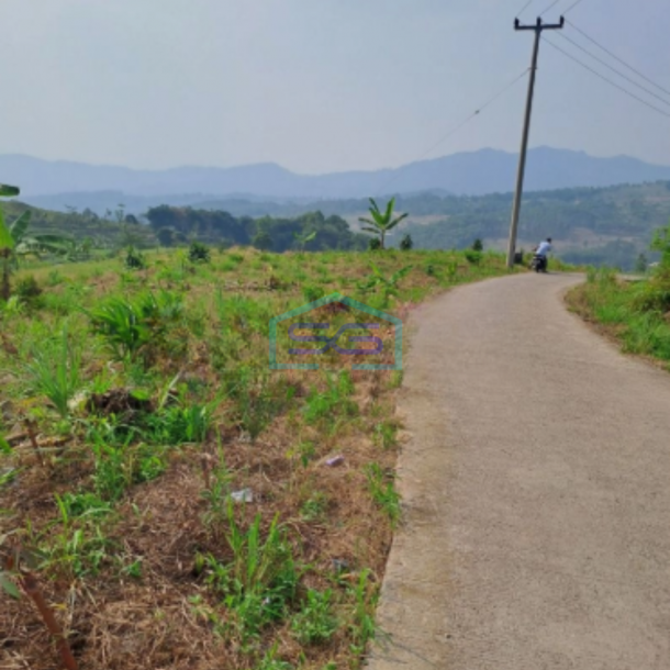 Dijual Tanah di Desa Cibadak Sukamakmur Bogor Jawa Barat LT 3000m2-2