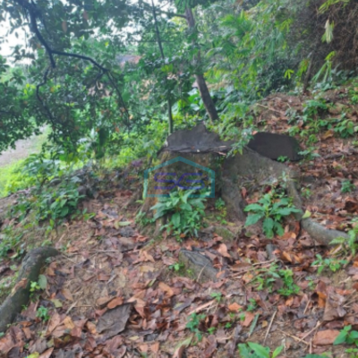 Dijual Tanah Di Kawasan Lewihejo Sentul Bogor Luas Tanah 1840m2