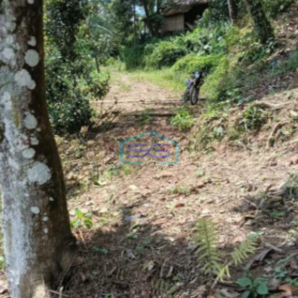 Dijual Tanah Di Kawasan Lewihejo Sentul Bogor Luas Tanah 1840m2-1