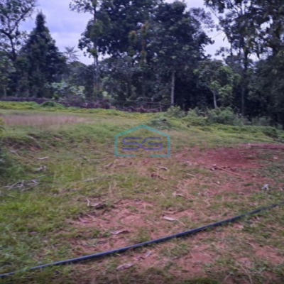 Dijual Tanah Sangat Bagus di Desa Bojongkoneng Babakan Madang Bogor