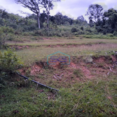 Dijual Tanah Sangat Bagus di Desa Bojongkoneng Babakan Madang Bogor