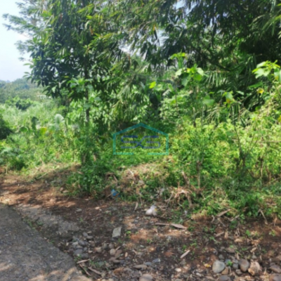 Dijual Tanah di Sukasari Rumpin Bogor SHM Luas 1200m2