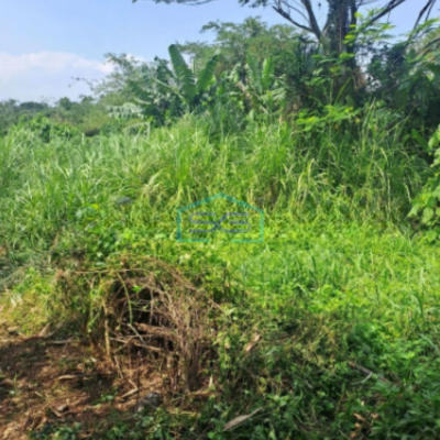 Dijual Tanah di Sukasari Rumpin Bogor SHM Luas 1200m2