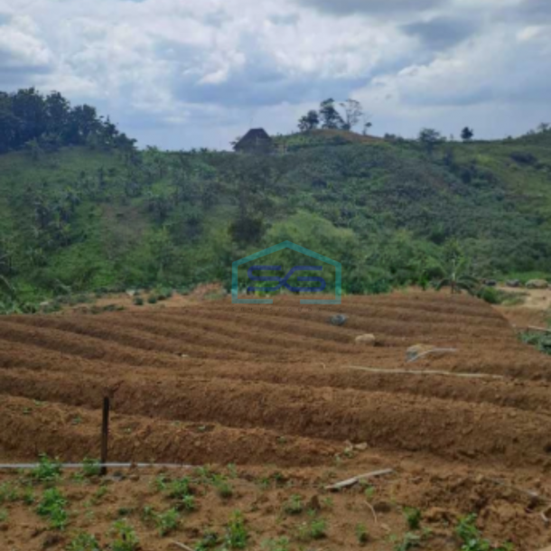 Dijual Tanah di Desa Pabuaran Sukamakmur Jonggol Bogor LT 3500m2-3