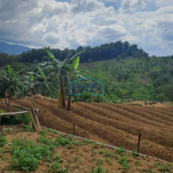 Dijual Tanah di Desa Pabuaran Sukamakmur Jonggol Bogor LT 3500m2-1