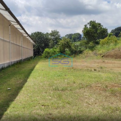 Dijual Tanah Kawasan Puncak Desa Kuta Megamendung Bogor LT 8000m2
